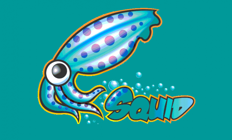squid_proxy_logo-760x460